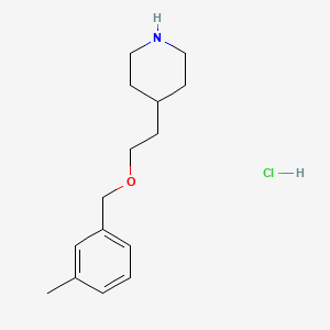 molecular formula C15H24ClNO B1426366 4-{2-[(3-Methylbenzyl)oxy]ethyl}piperidine hydrochloride CAS No. 1220031-25-3