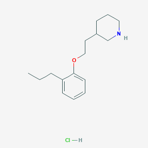 molecular formula C16H26ClNO B1426367 3-[2-(2-丙基苯氧基)乙基]哌啶盐酸盐 CAS No. 1219949-31-1
