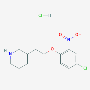3-[2-(4-Chloro-2-nitrophenoxy)ethyl]piperidine hydrochloride