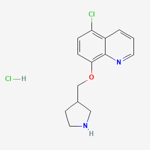 molecular formula C14H16Cl2N2O B1426378 5-Chloro-8-(3-pyrrolidinylmethoxy)quinoline hydrochloride CAS No. 1219968-04-3
