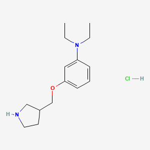 molecular formula C15H25ClN2O B1426380 N,N-diethyl-3-(pyrrolidin-3-ylmethoxy)aniline hydrochloride CAS No. 1220029-80-0