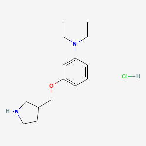 molecular formula C15H25ClN2O B1426380 N,N-Diethyl-3-(3-pyrrolidinylmethoxy)aniline hydrochloride CAS No. 1220029-80-0