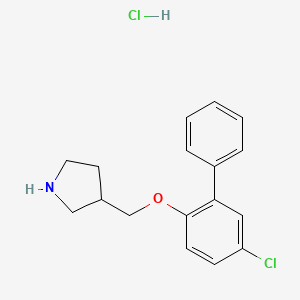 molecular formula C17H19Cl2NO B1426392 5-Chloro[1,1'-biphenyl]-2-yl 3-pyrrolidinylmethyl-ether hydrochloride CAS No. 1220030-99-8