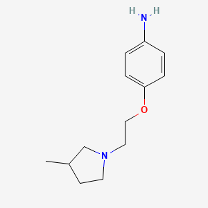 molecular formula C13H20N2O B1426417 4-[2-(3-Methylpyrrolidin-1-yl)ethoxy]aniline CAS No. 1247834-10-1