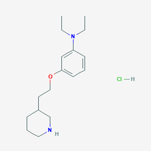 molecular formula C17H29ClN2O B1426422 N,N-二乙基-3-[2-(3-哌啶基)乙氧基]苯胺盐酸盐 CAS No. 1220031-13-9