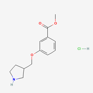 molecular formula C13H18ClNO3 B1426426 3-(3-吡咯烷基甲氧基)苯甲酸甲酯盐酸盐 CAS No. 1219968-06-5