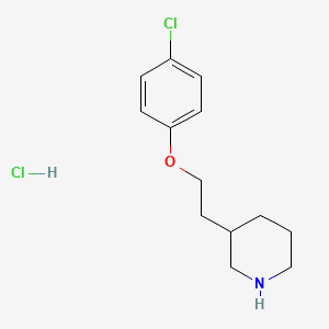 molecular formula C13H19Cl2NO B1426427 3-[2-(4-Chlorophenoxy)ethyl]piperidine hydrochloride CAS No. 1220019-76-0