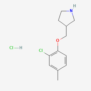 molecular formula C12H17Cl2NO B1426432 2-Chloro-4-methylphenyl 3-pyrrolidinylmethyl-ether hydrochloride CAS No. 1219956-91-8