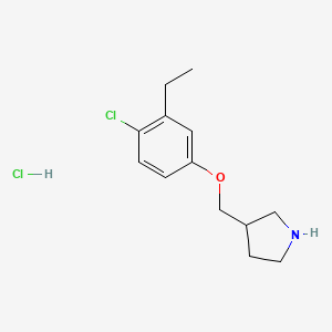 molecular formula C13H19Cl2NO B1426435 3-[(4-氯-3-乙基苯氧基)甲基]吡咯烷盐酸盐 CAS No. 1219949-02-6
