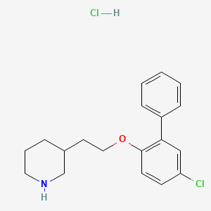 molecular formula C19H23Cl2NO B1426518 3-{2-[(5-Chloro[1,1'-biphenyl]-2-yl)oxy]-ethyl}piperidine hydrochloride CAS No. 1219964-26-7
