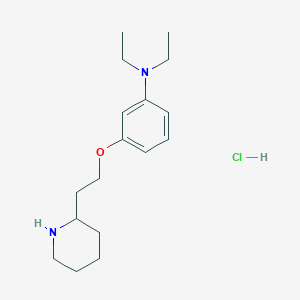 molecular formula C17H29ClN2O B1426521 N,N-Diethyl-3-[2-(2-piperidinyl)ethoxy]aniline hydrochloride CAS No. 1220016-92-1