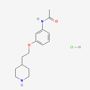 molecular formula C15H23ClN2O2 B1426524 N-{3-[2-(4-Piperidinyl)ethoxy]phenyl}acetamide hydrochloride CAS No. 1219981-38-0