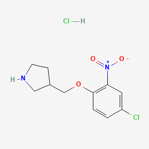 molecular formula C11H14Cl2N2O3 B1426527 3-[(4-Chloro-2-nitrophenoxy)methyl]pyrrolidine hydrochloride CAS No. 1220031-26-4