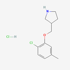 molecular formula C12H17Cl2NO B1426535 2-Chloro-5-methylphenyl 3-pyrrolidinylmethyl ether hydrochloride CAS No. 1220019-35-1