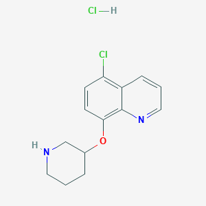 5-Chloro-8-quinolinyl 3-piperidinyl ether hydrochloride