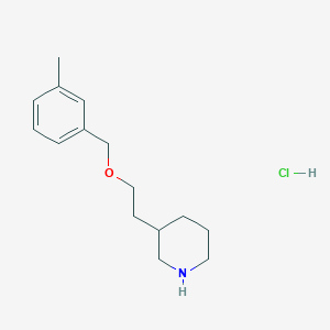 molecular formula C15H24ClNO B1426542 3-{2-[(3-Methylbenzyl)oxy]ethyl}piperidine hydrochloride CAS No. 1219967-94-8
