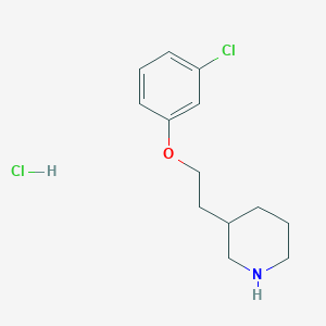 molecular formula C13H19Cl2NO B1426543 3-[2-(3-Chlorophenoxy)ethyl]piperidine hydrochloride CAS No. 1219980-66-1