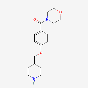 4-[4-(Piperidin-4-ylmethoxy)benzoyl]morpholine hydrochloride