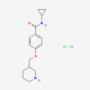 molecular formula C16H23ClN2O2 B1426642 N-cyclopropyl-4-(piperidin-3-ylmethoxy)benzamide hydrochloride CAS No. 1332530-77-4