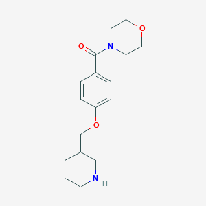 molecular formula C17H24N2O3 B1426654 4-[4-(Piperidin-3-ylmethoxy)benzoyl]morpholine hydrochloride CAS No. 1306739-13-8