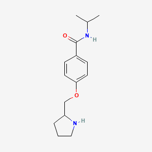 molecular formula C15H22N2O2 B1426666 N-propan-2-yl-4-(pyrrolidin-2-ylmethoxy)benzamide CAS No. 1306738-71-5