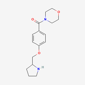 4-[4-(Pyrrolidin-2-ylmethoxy)benzoyl]morpholine hydrochloride