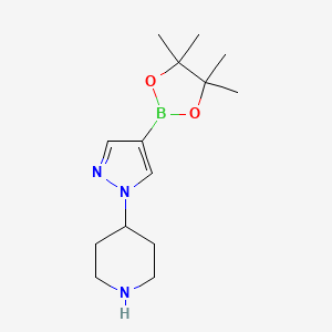 4-(4-(4,4,5,5-tetramethyl-1,3,2-dioxaborolan-2-yl)-1H-pyrazol-1-yl)piperidine