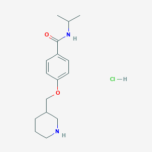 molecular formula C16H25ClN2O2 B1426764 N-isopropyl-4-(piperidin-3-ylmethoxy)benzamide hydrochloride CAS No. 1332529-70-0