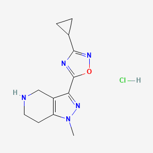 molecular formula C12H16ClN5O B1426766 3-(3-cyclopropyl-1,2,4-oxadiazol-5-yl)-1-methyl-4,5,6,7-tetrahydro-1H-pyrazolo[4,3-c]pyridine hydrochloride CAS No. 1332529-27-7