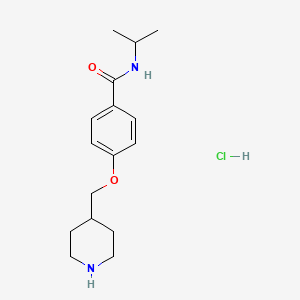 molecular formula C16H25ClN2O2 B1426777 N-isopropyl-4-(piperidin-4-ylmethoxy)benzamide hydrochloride CAS No. 1332530-83-2