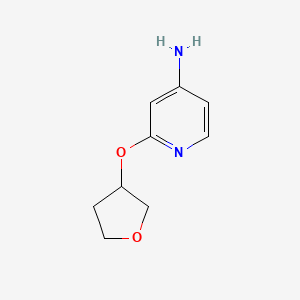 molecular formula C9H12N2O2 B1426797 2-(氧杂环丙烷-3-氧基)吡啶-4-胺 CAS No. 1339933-64-0
