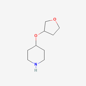 4-(Oxolan-3-yloxy)piperidine