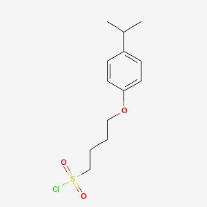 molecular formula C13H19ClO3S B1426944 4-[4-(丙-2-基)苯氧基]丁-1-磺酰氯 CAS No. 1341540-99-5