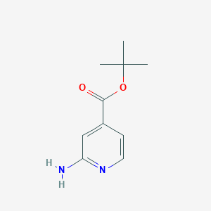 molecular formula C10H14N2O2 B1426948 Tert-butyl 2-aminoisonicotinate CAS No. 1338990-46-7