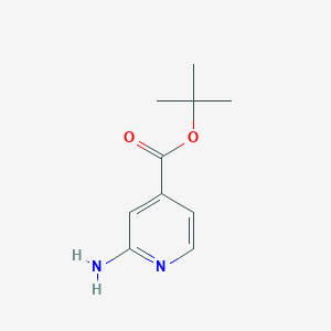 Tert-butyl 2-aminoisonicotinate