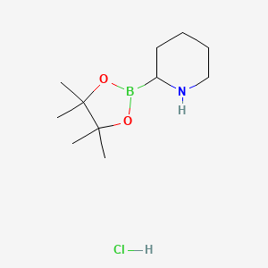 molecular formula C11H23BClNO2 B1427254 2-(4,4,5,5-Tetramethyl-1,3,2-dioxaborolan-2-yl)piperidine hydrochloride CAS No. 811439-31-3