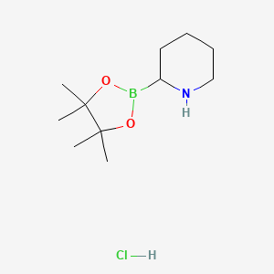 2-(4,4,5,5-Tetramethyl-1,3,2-dioxaborolan-2-yl)piperidine hydrochloride