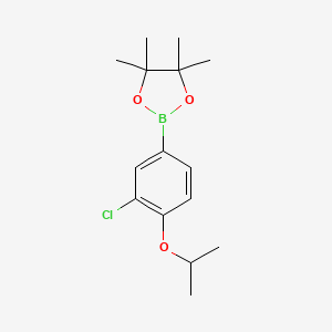 molecular formula C15H22BClO3 B1427301 3-Chloro-4-isopropoxyphenylboronic acid pinacol ester CAS No. 1260023-79-7