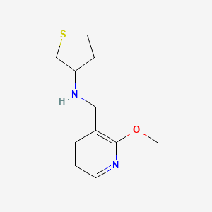 N-[(2-methoxypyridin-3-yl)methyl]thiolan-3-amine