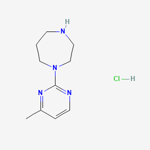 molecular formula C10H17ClN4 B1427751 1-(4-甲基嘧啶-2-基)-1,4-二氮杂环戊烷盐酸盐 CAS No. 1401425-37-3