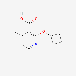 molecular formula C12H15NO3 B1427919 2-Cyclobutoxy-4,6-dimethylpyridine-3-carboxylic acid CAS No. 1247523-42-7