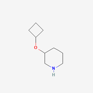 3-Cyclobutoxypiperidine