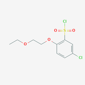 molecular formula C10H12Cl2O4S B1428037 5-Chloro-2-(2-ethoxyethoxy)benzene-1-sulfonyl chloride CAS No. 1343826-39-0