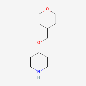 molecular formula C11H21NO2 B1428115 4-[(四氢-2H-吡喃-4-基)甲氧基]哌啶 CAS No. 933701-53-2