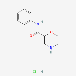 molecular formula C11H15ClN2O2 B1428168 N-phenylmorpholine-2-carboxamide hydrochloride CAS No. 1229627-52-4