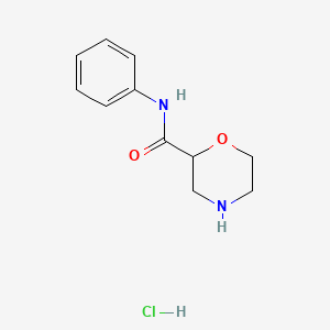 molecular formula C11H15ClN2O2 B1428168 Morpholine-2-carboxylic acidphenylamide hydrochloride CAS No. 1229627-52-4