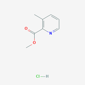 molecular formula C8H10ClNO2 B1428296 methyl 3-methylpyridine-2-carboxylate;hydrochloride CAS No. 1373029-27-6