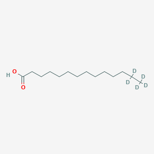 Tetradecanoic-13,13,14,14,14-D5 acid