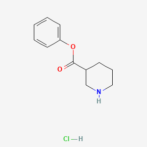 molecular formula C12H16ClNO2 B14284872 Phenyl piperidine-3-carboxylate;hydrochloride CAS No. 119228-22-7