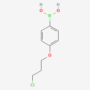 molecular formula C9H12BClO3 B1428543 (4-(3-Chloropropoxy)phenyl)boronic acid CAS No. 1182283-83-5